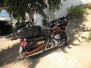 P7120387.JPG
