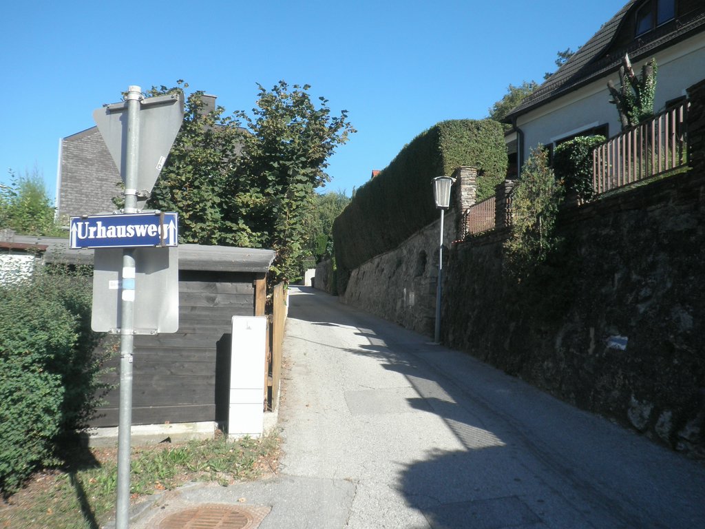 P9170002.JPG