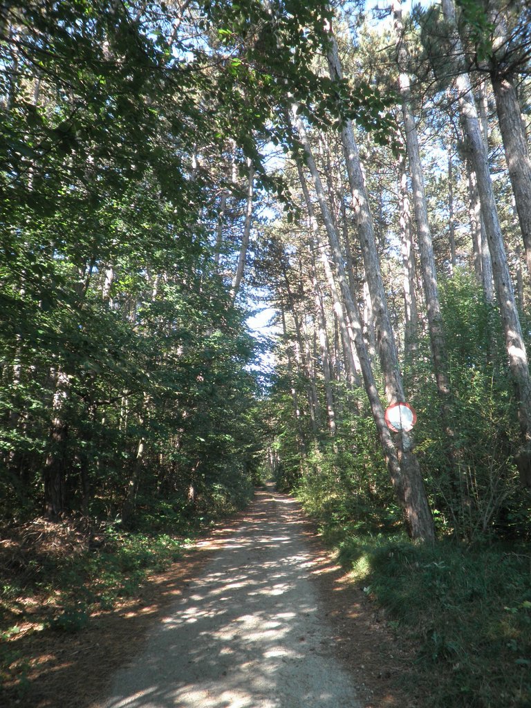P9170003.JPG