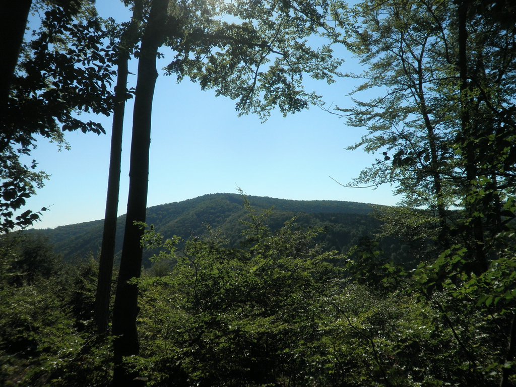 P9170015.JPG