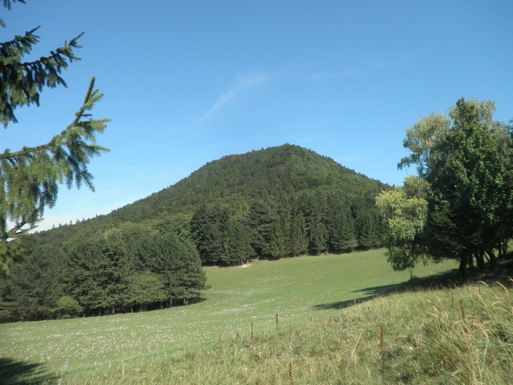 P9170047.JPG