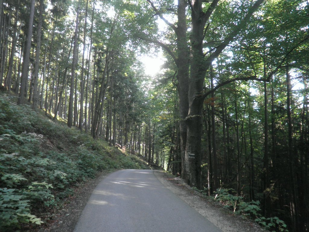 P9170052.JPG