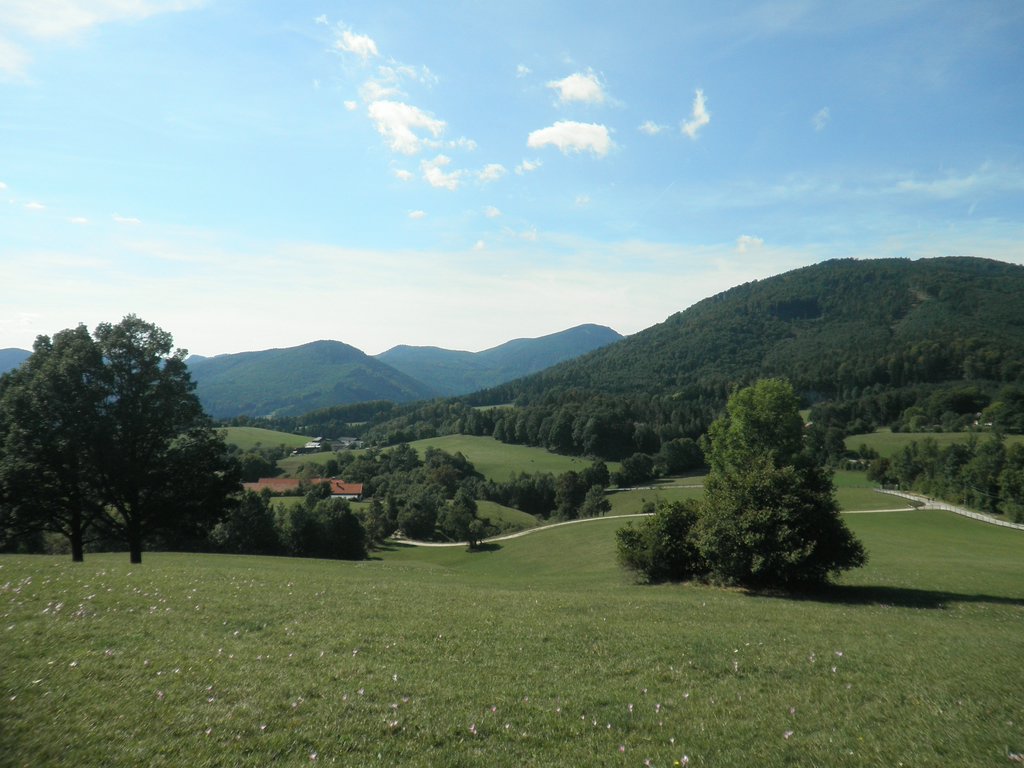 P9170055.JPG