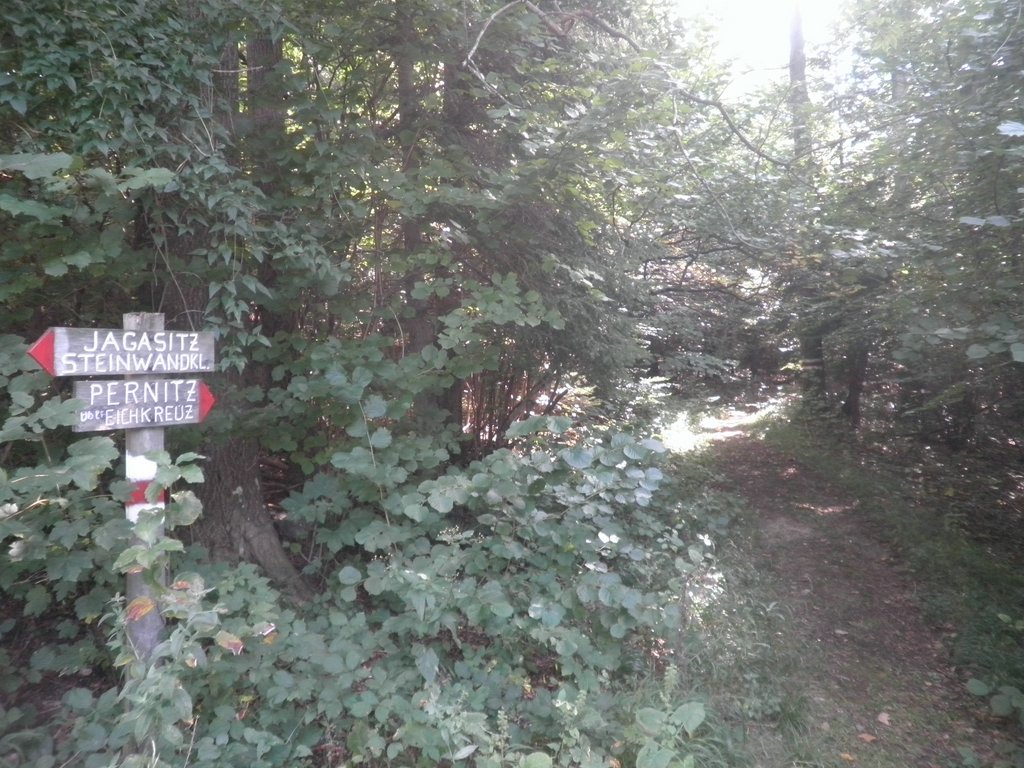 P9170058.JPG