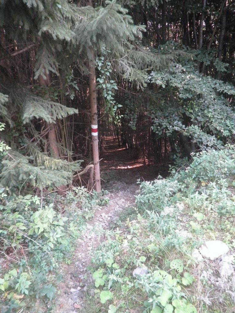 P9170060.JPG