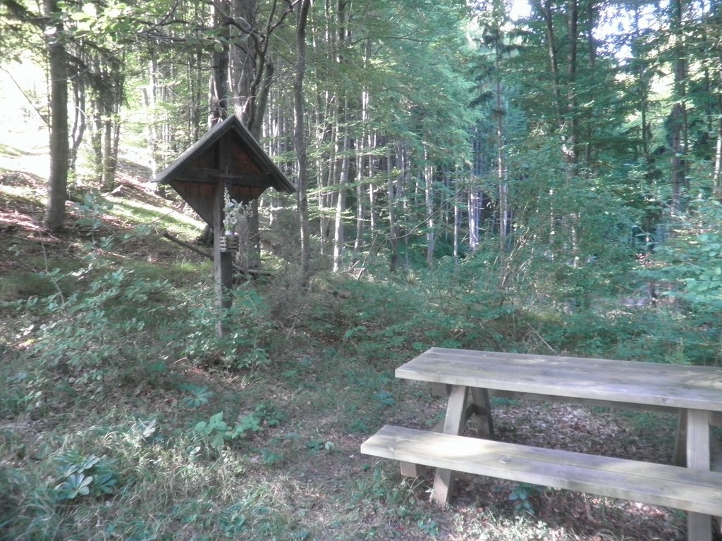 P9170061.JPG
