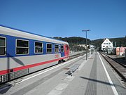P9170001.JPG