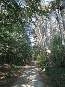 P9170003.JPG