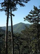 P9170012.JPG