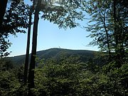 P9170015.JPG