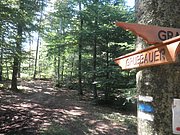 P9170016.JPG