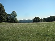 P9170027.JPG