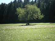P9170032.JPG