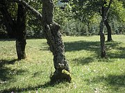 P9170036.JPG