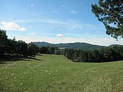 P9170045.JPG