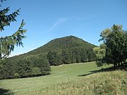 P9170047.JPG