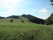 P9170048.JPG