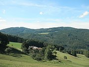 P9170049.JPG