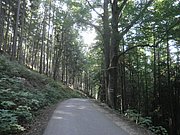 P9170052.JPG