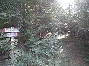 P9170058.JPG