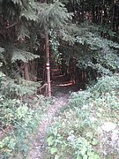 P9170060.JPG