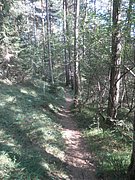 P9170067.JPG