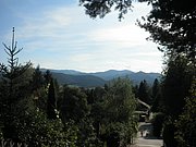 P9170070.JPG