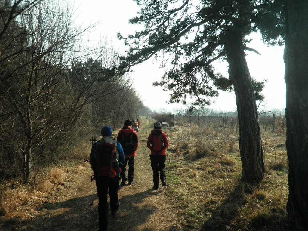 P2270012.JPG