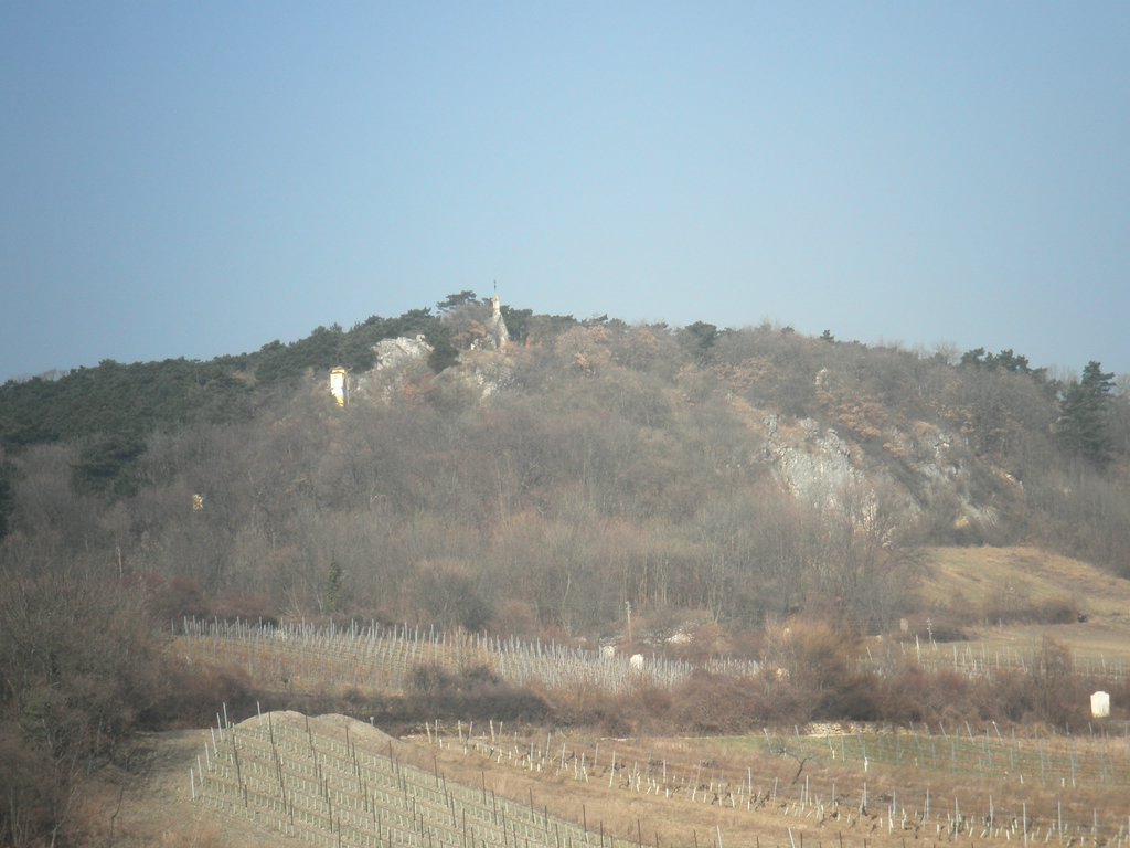 P2270021.JPG