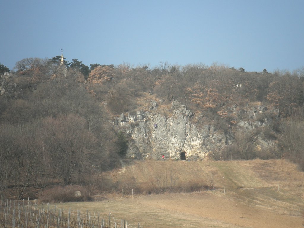 P2270022.JPG