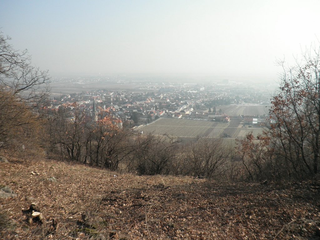 P2270024.JPG