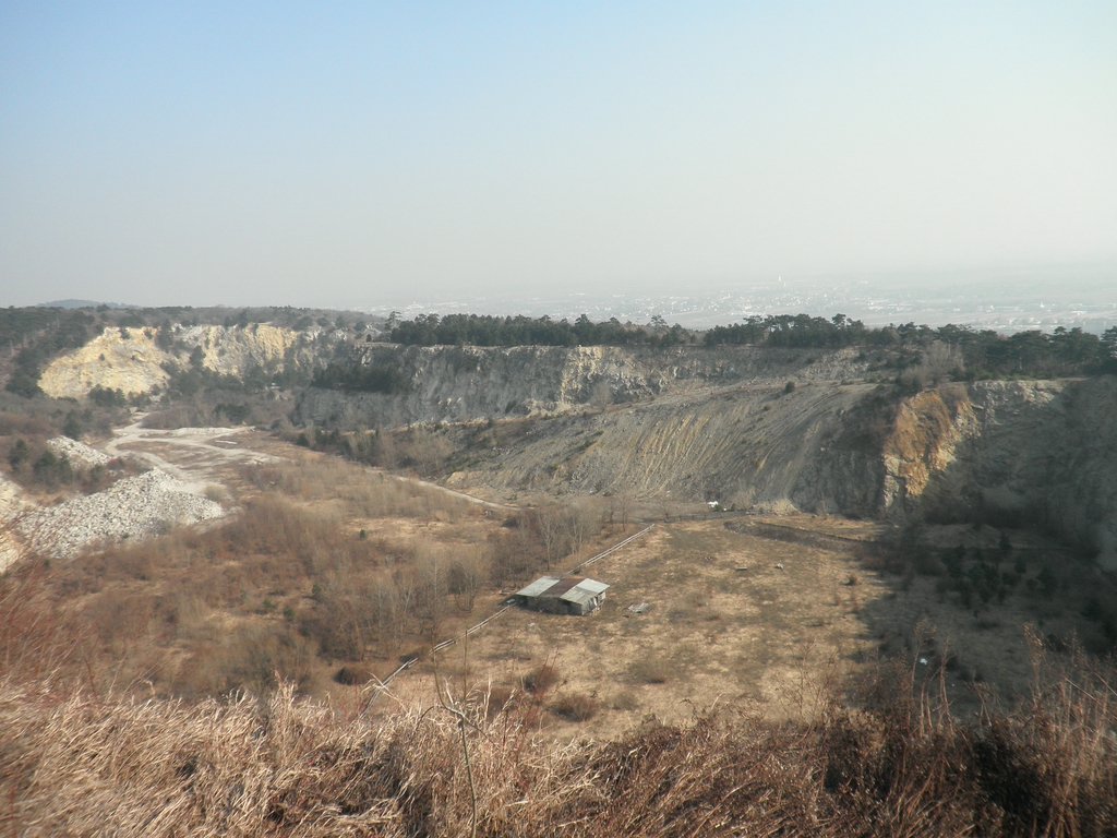 P2270032.JPG