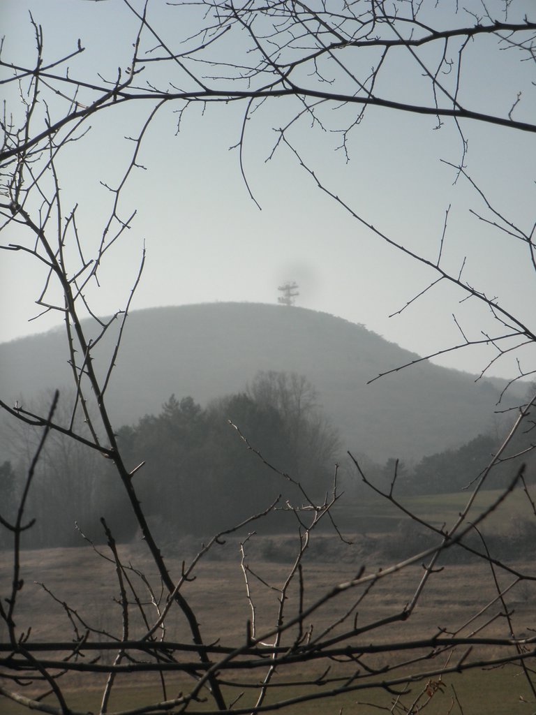 P2270033.JPG