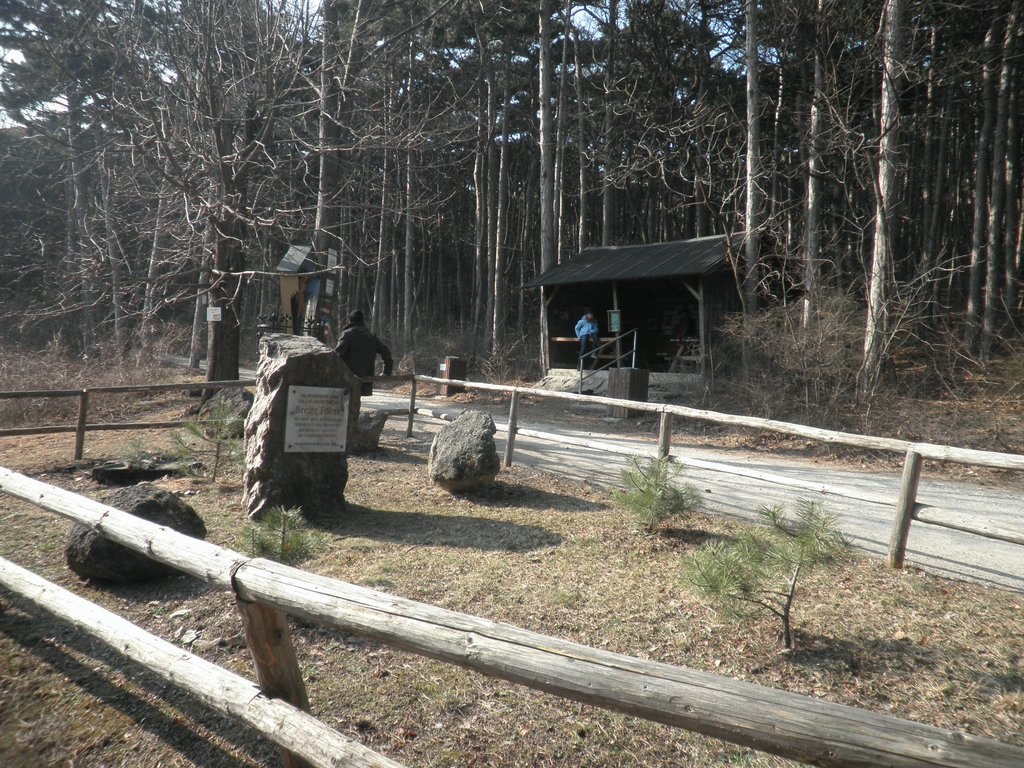 P2270035.JPG