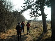 P2270012.JPG