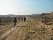 P2270017.JPG