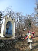 P2270023.JPG