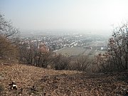 P2270024.JPG