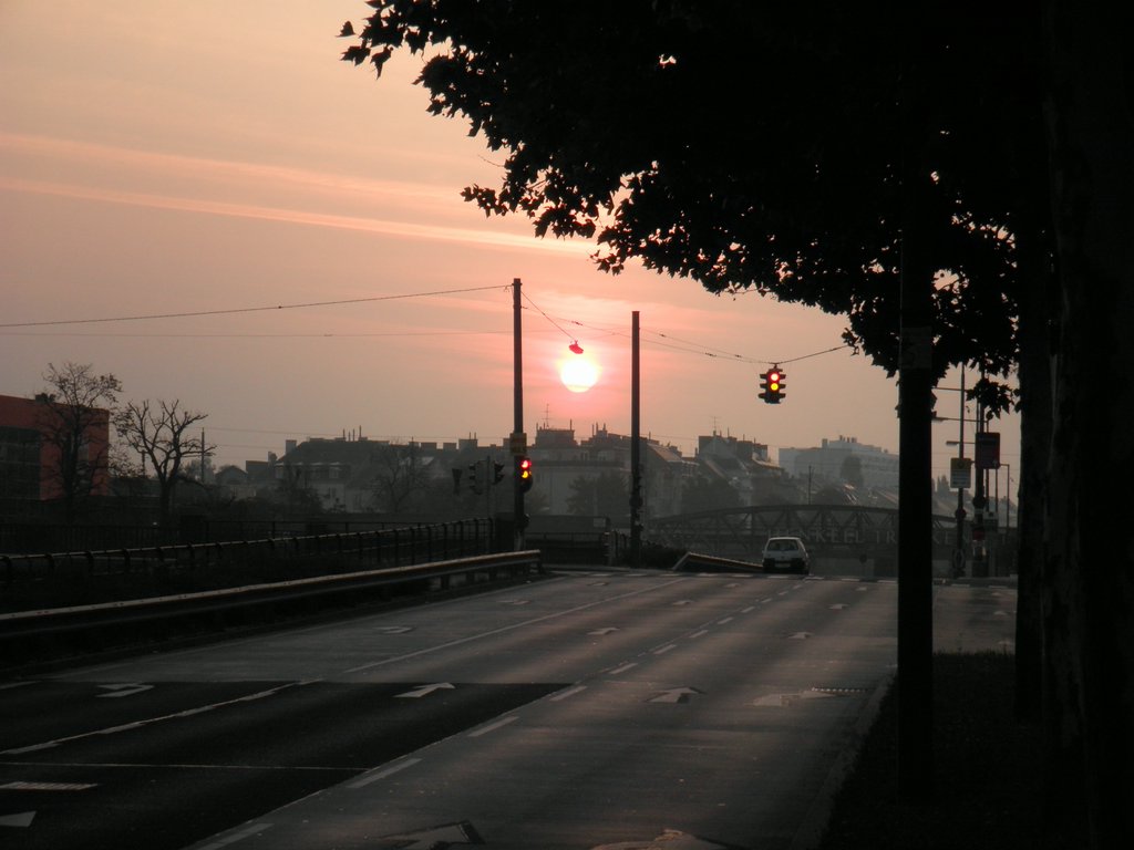 P9200011.JPG