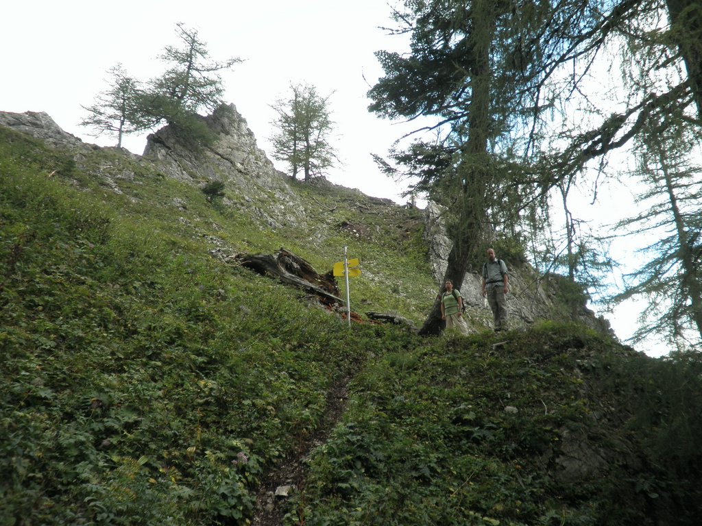 P9200033.JPG