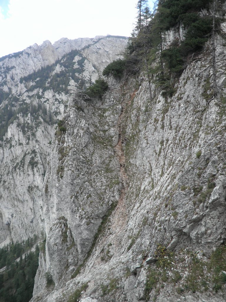 P9200037.JPG