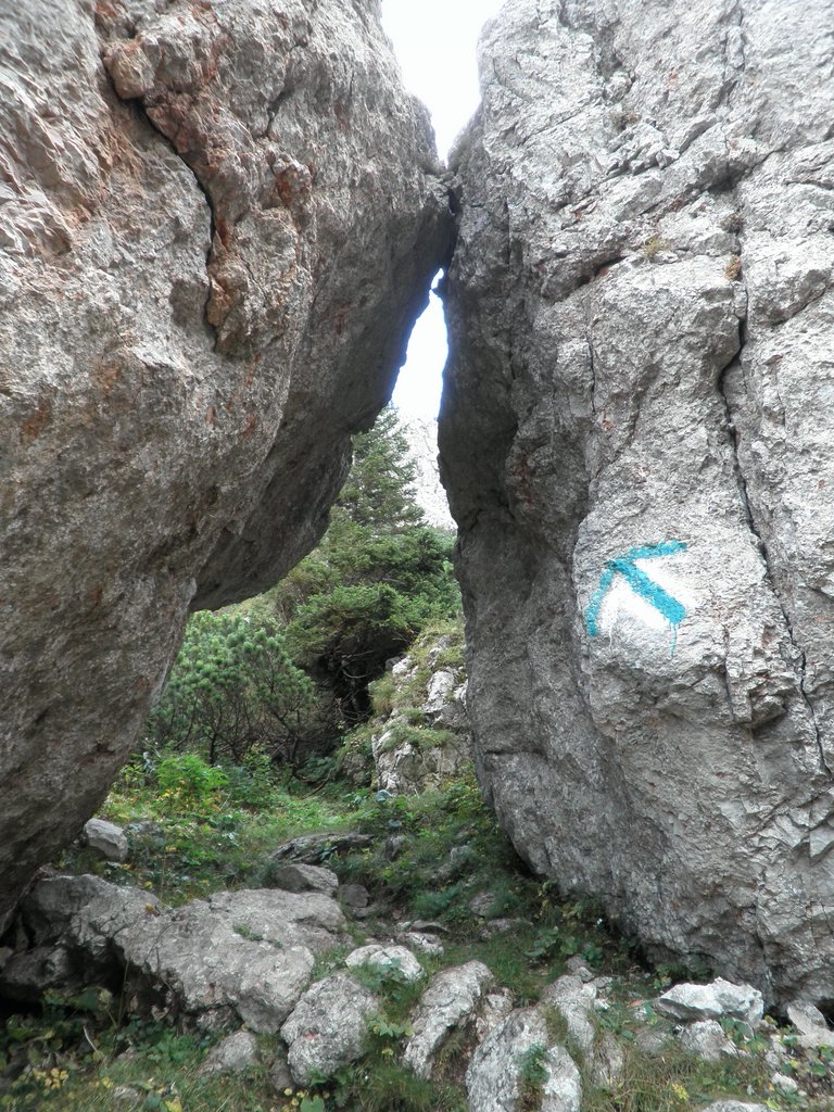 P9200054.JPG