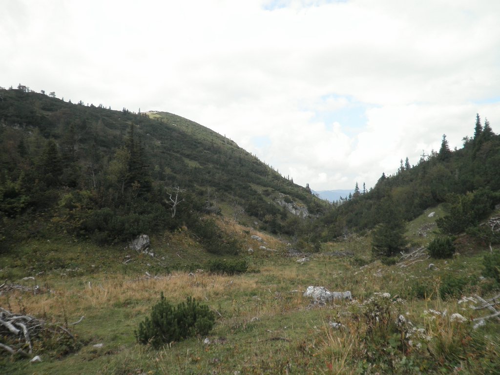 P9200057.JPG