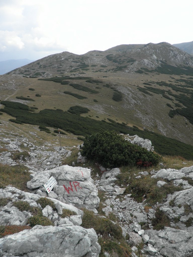 P9200072.JPG