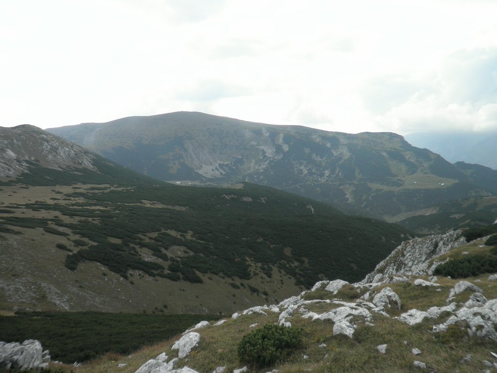 P9200073.JPG