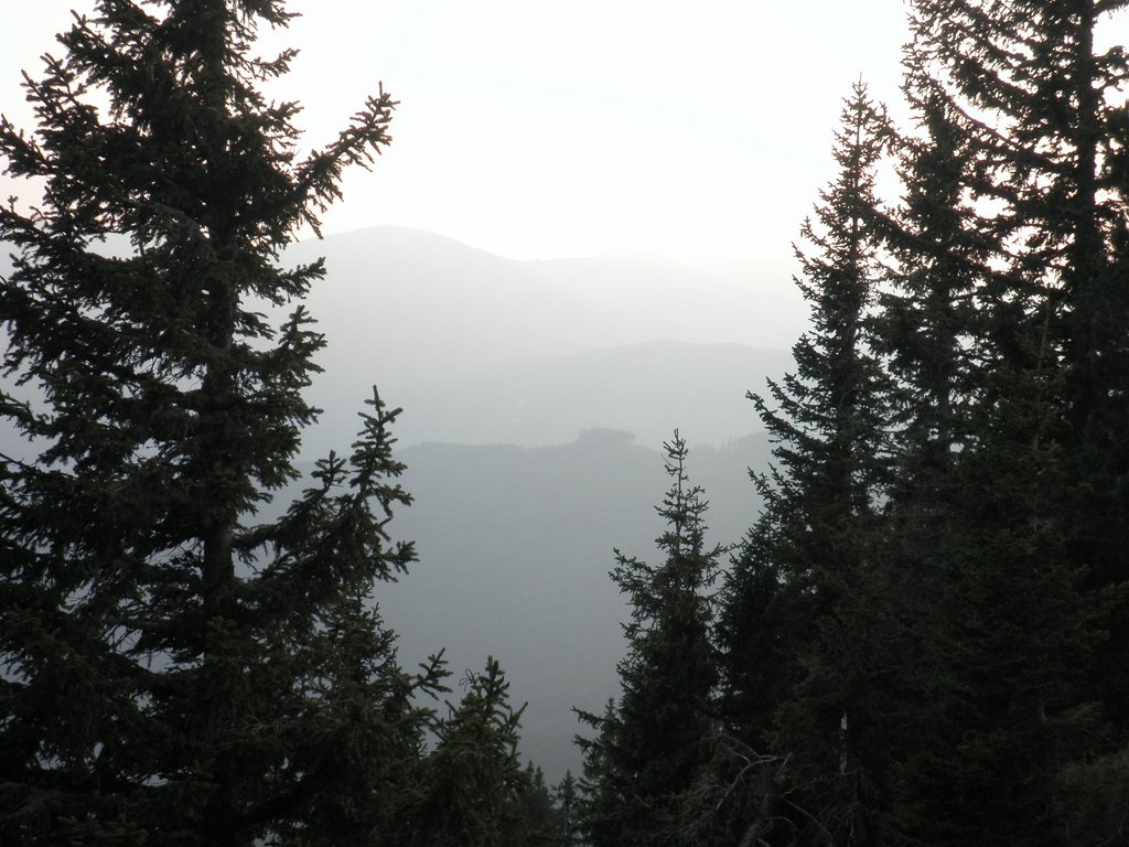 P9200084.JPG