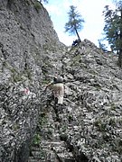 P9200027.JPG