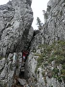 P9200043.JPG