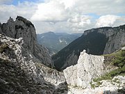 P9200051.JPG