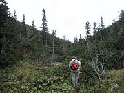 P9200055.JPG